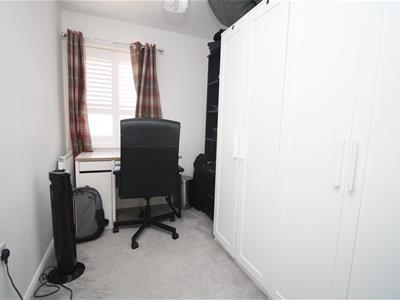 Picture 13